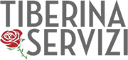 logo Valtiberina Servizi