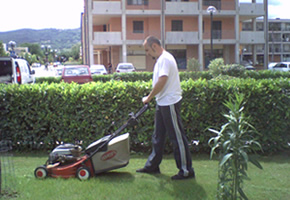 Servizio tosatura prato e giardinaggio